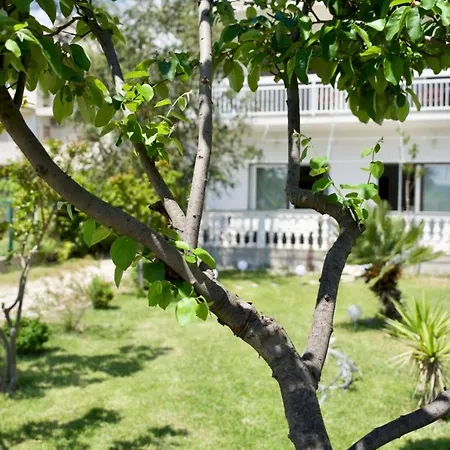 Big Beachfront Smokvica In *