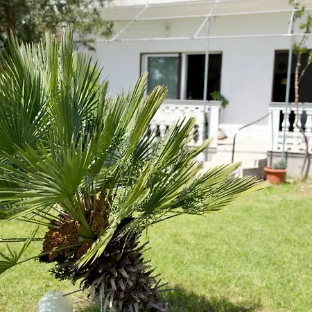 Big Beachfront Smokvica In شقة تروغير