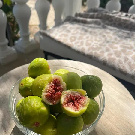 شقة Big Beachfront Smokvica In تروغير