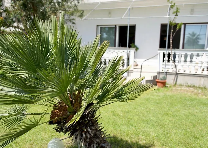 Big Beachfront Smokvica In Daire Trogir