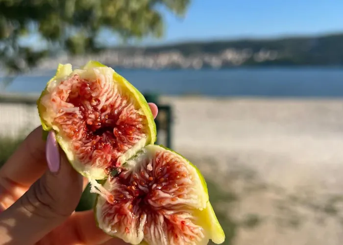 Big Beachfront Smokvica In