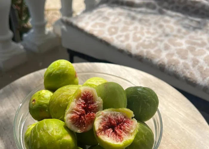 Daire Big Beachfront Smokvica In Trogir