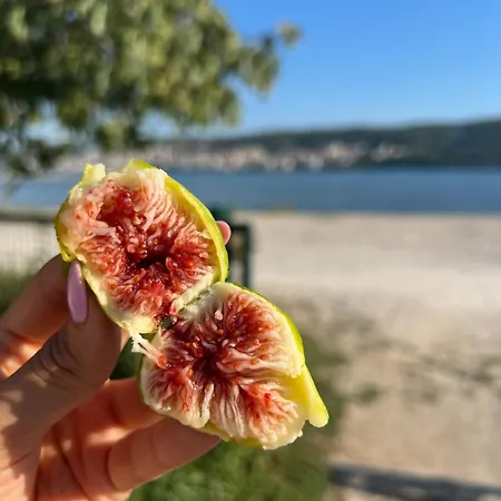 Smokvica Beachfront